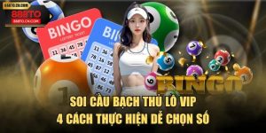 Soi Cầu Bạch Thủ Lô Vip - 4 Cách Thực Hiện Dễ Chọn Số